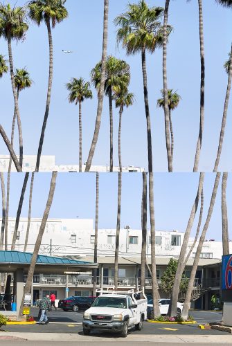 John MacLean Two and TwoA diptych of two photographs taken in San Diego, California. The lower image shows a Motel 6 forecourt with a white GMC truck pulling out, a man walking, and balconies lined with white plastic chairs. Tall, thin palm trees rise vertically through the frame. The upper image continues the view of the palms but misaligned, so the trunks don’t match seamlessly between the two photographs. Against a clear blue sky, an airplane flies left to right. Bright Californian sunlight emphasises the stark white buildings and the cloudless sky.