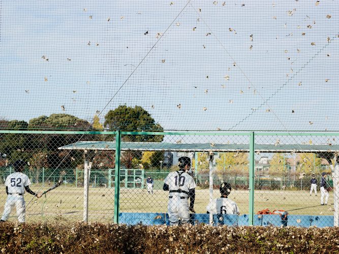 John MacLean HometownsA fence with leaves and a baseball game in Tokyo Japan.